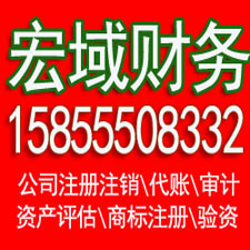 巢湖安徽营业执照注册代理 注册公司代理 代理记账